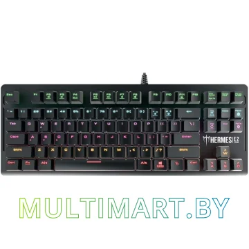 Клавиатура Gamdias Hermes E2 (Red Switches)